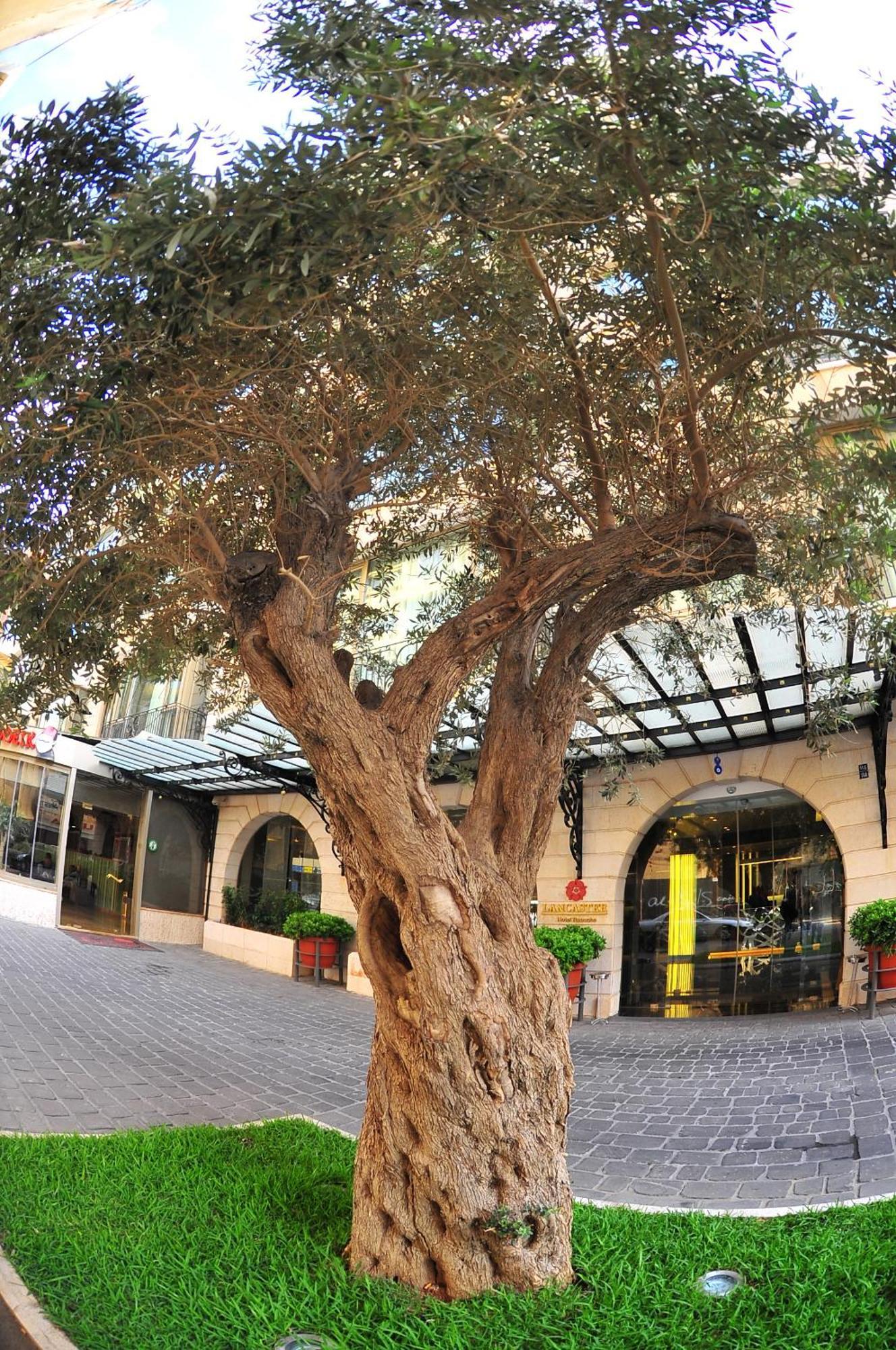 Lancaster Raouche Hotel Beirut Exterior photo